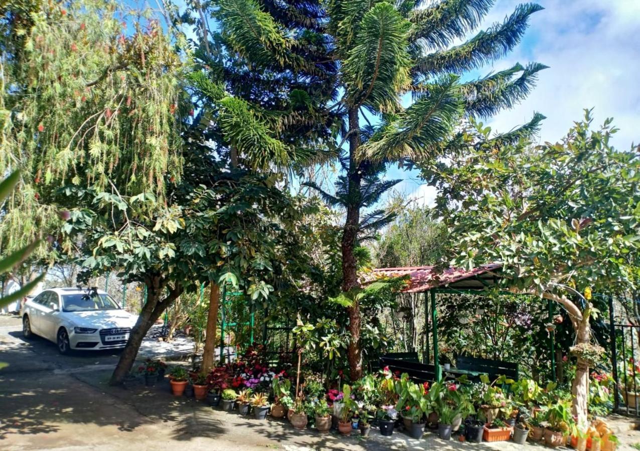 Silver Spruce Entire Nature Villa Kotagiri Exterior photo