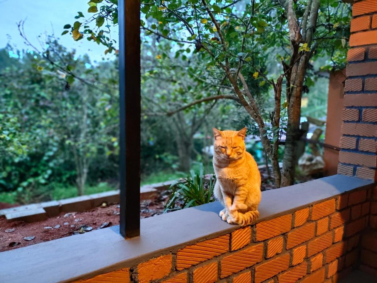 Silver Spruce Entire Nature Villa Kotagiri Exterior photo