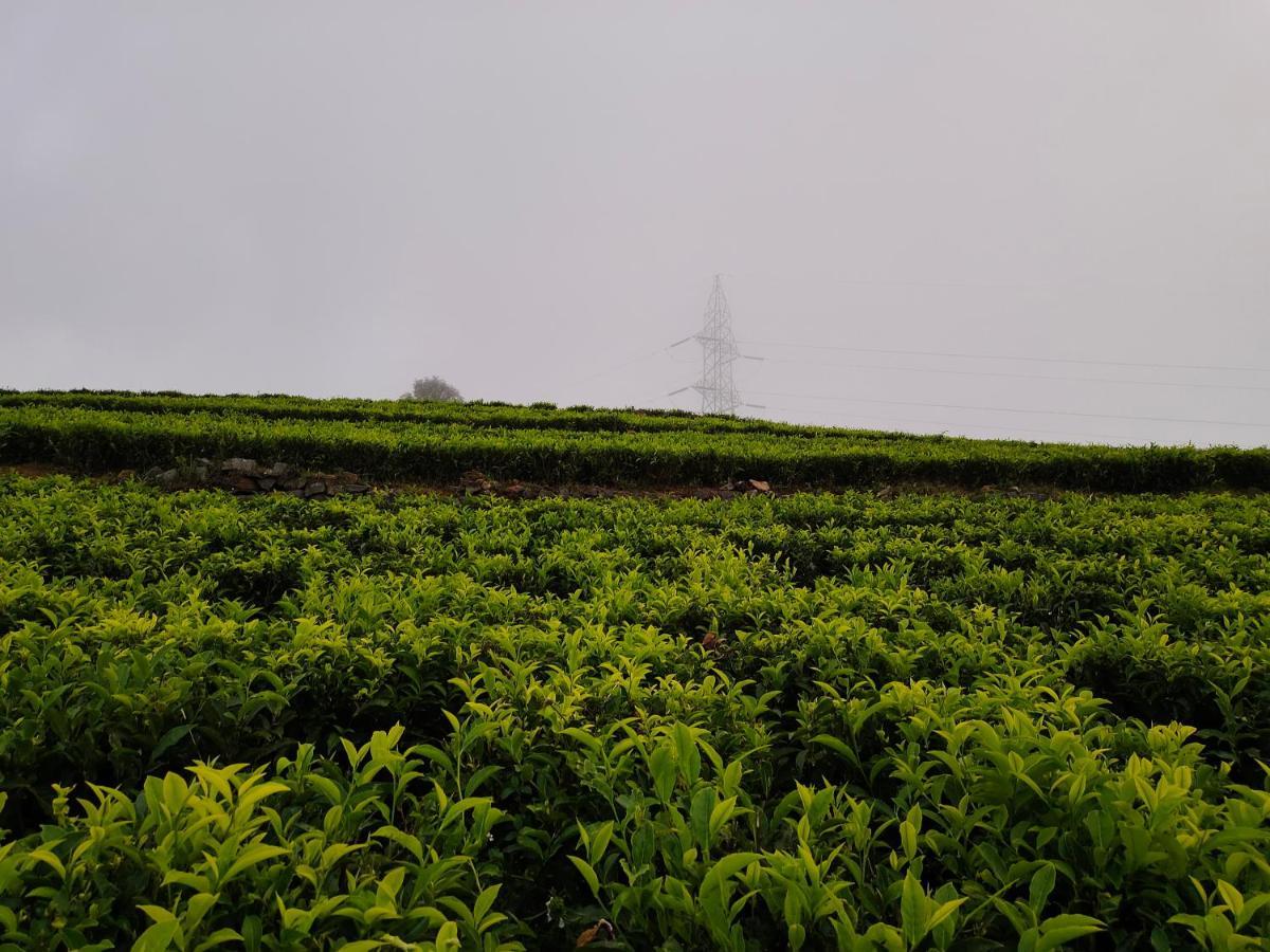 Silver Spruce Entire Nature Villa Kotagiri Exterior photo
