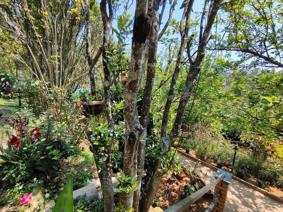 Silver Spruce Entire Nature Villa Kotagiri Exterior photo
